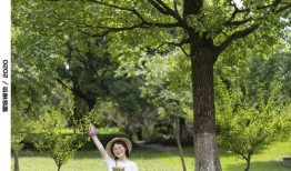 夏日吃瓜拍照滤镜