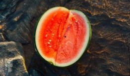 吃瓜萤,揭秘娱乐圈背后的秘密与真相