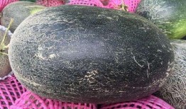 冬天伽师瓜怎么吃,暖冬美味新体验