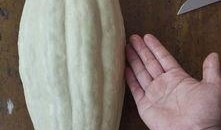 可以吃叶子的瓜,探寻可食叶子的瓜类美食之旅