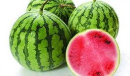 瓢瓜和什么瓜不能一起吃