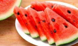 什么瓜可以吃视频,一场关于健康饮食的趣味探索之旅