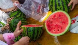 兰州高校恶性吃瓜,校园风波背后的真相与反思