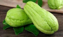 保胎吃秋瓜,孕期营养新选择