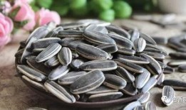 村口嗑瓜子吃瓜,闲话家常，品味乡村生活百态