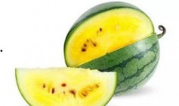 临沂最新吃瓜视频大全,趣味瞬间尽收眼底