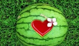 大家都在吃的瓜,揭秘那些让人欲罢不能的“瓜”界风云