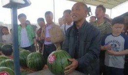 任县吃瓜群众,揭秘当地生活百态