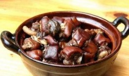 吃狗肉瓜忌口,探寻传统美食背后的文化禁忌