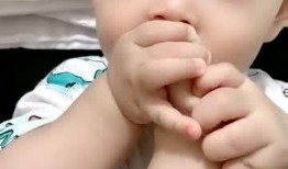 宝宝吃瓜啃猪蹄