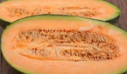 吃哈密瓜大便多,揭秘大便增多之谜