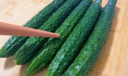 瓜哪里那么容易吃,揭秘“瓜哪里那么容易吃”的哲理