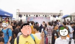 朝阳观众吃瓜,观众吃瓜盛宴背后的故事