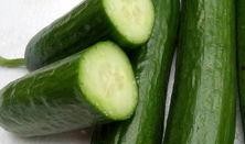 吃的绿瓜,探寻清新口感与营养价值的完美融合