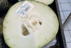 成都工厂吃瓜,一场别开生面的“吃瓜”盛宴