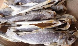 吃瓜22501咸鱼之王,吃瓜群众的狂欢盛宴