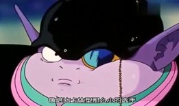 娱乐吃瓜喵喵,揭秘娱乐圈那些不为人知的幕后故事