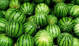 夏季吃老瓜,老瓜美食探秘