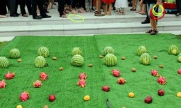 吃瓜鉴赏馆,吃瓜鉴赏馆带你领略瓜界风云