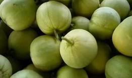 俩人吃瓜图片,揭秘两位吃瓜群众的欢乐瞬间