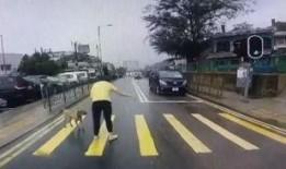 司机下车吃瓜,一瞬间的趣味瞬间