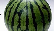 吃瓜群有哪些,网络社交的趣味与争议