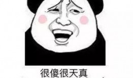 在恋爱总有吃瓜,揭秘甜蜜背后的那些事儿