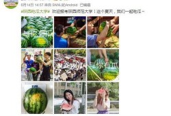 各大高校吃瓜视频群,揭秘校园生活那些事儿